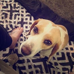 Feel free to make an offer. Prices are negotiable